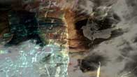 Ubtitled entertains these three film types, video art, moving art and fine art films. Untitled, Video Art whose destiny is the top art galleries in New York City, Hong Kong, London, Paris and Rome.